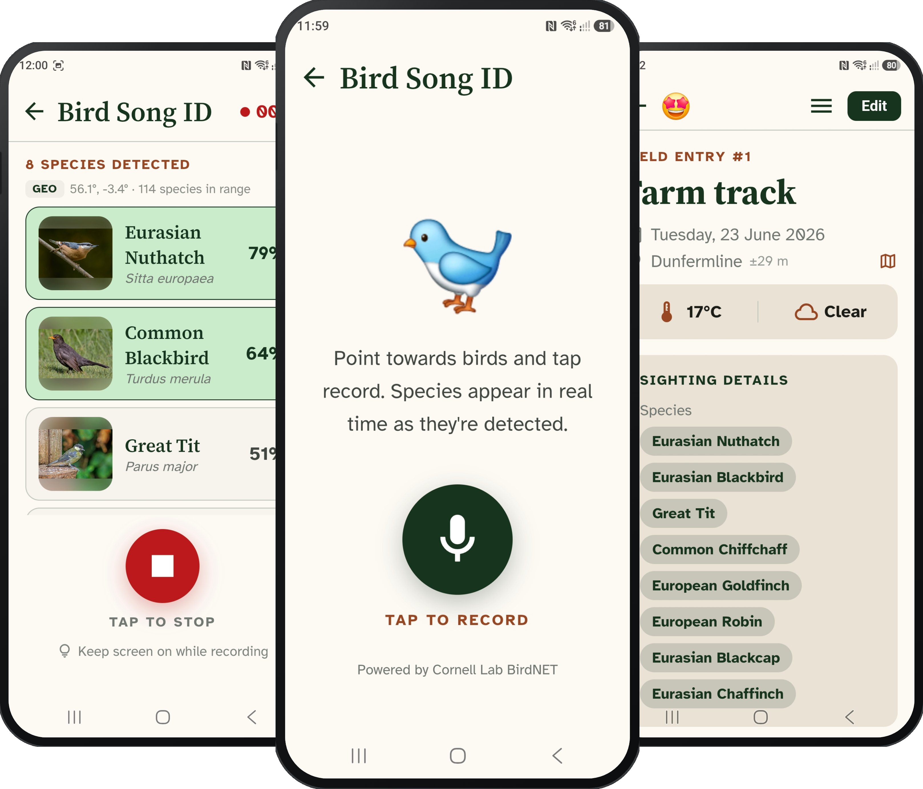 BirdTRX Bird Song ID — live detection, recording, and results